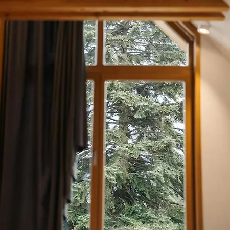 Hisa Vasih Sanj Eleganca, Mir In Nepozabne Pocitnice Z Vasimi Najdrazjimi 度假居